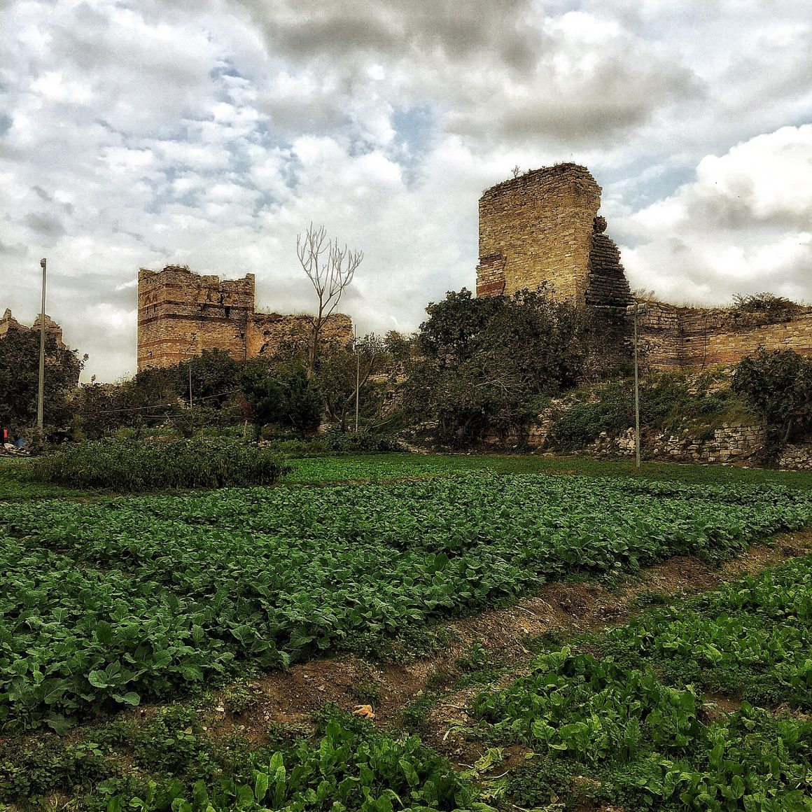 İSTANBUL SURLARI VE BOSTANLARI