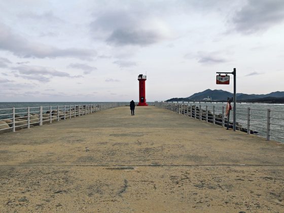 YALNIZ GEZGİN OLMAK