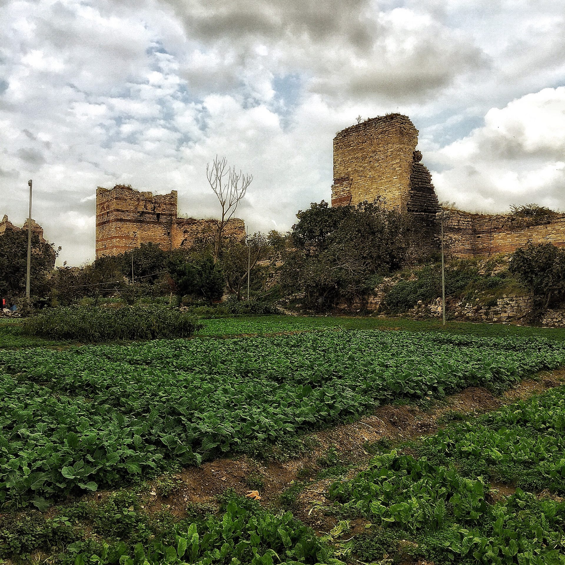 İSTANBUL SURLARI VE BOSTANLARI
