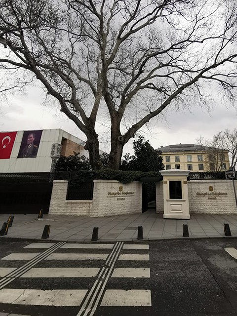Çınar Ağacı ve Beşiktaşın Anılarda Kalan Lokantası